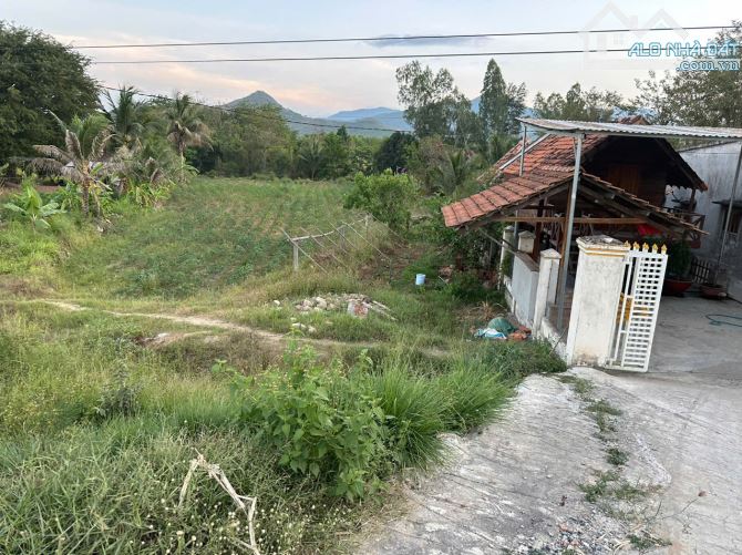 Cần bán lô đất thổ cư mặt tiền QL 26 Xã Ninh Tây, Thị Xã Ninh Hòa, Tỉnh Khánh Hòa - 6
