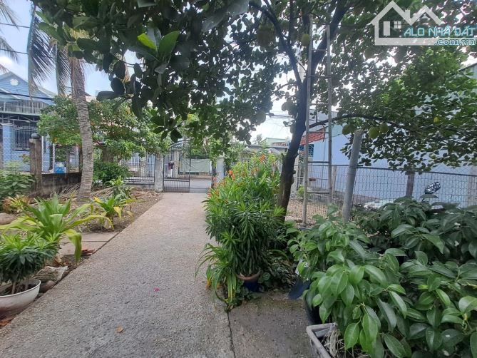 Bùi công trừng hóc môn 10x38 shr - 6