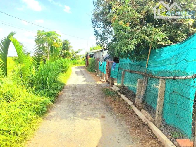 Siêu phẩm, 1170m2 đất có 300m2 thổ cư, kdc Mỹ Thạnh, 850tr - 6