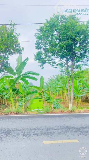 Bán đất 1.100  m2 mặt tiền đường Nguyễn Văn Quy Cái Răng - 9