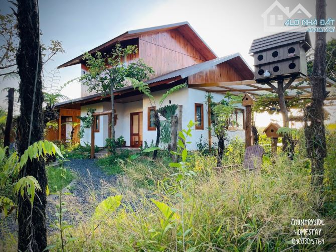 HOMESTAY BÀI BẢN NGUYỄN TRƯỜNG TỘ - P.EA TAM, DT: 2 SÀO 3, THỔ CƯ 300M2, GIÁ: 8,5 TỈ - 9