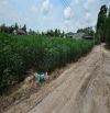 10x50m giá 360tr Đất Thị Trấn Tân Biên , Tân Biên Tây Ninh
