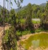 cần Bán 1850m² thổ cư Tân Vinh, Lương Sơn, Hoà Bình - Vị trí đắc địa, tiềm năng