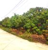 Đất nền bán tại Đường 31, Xã Kiên Thành, Lục Ngạn, Bắc Giang, 550 triệu, 375 m2