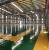 Chuyển Nhượng Nhà Xưởng 15.000M2 KCN Tân Đức, Đức Hòa, Long An