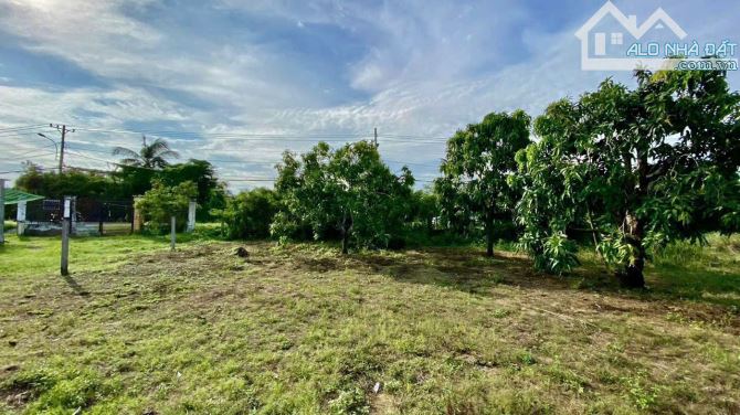 Cần bán lô đất đường xe hơi Duyên Hải, Long Hoà, Cần Giờ