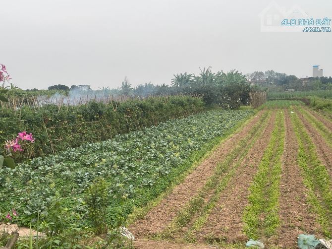 Bán đất xã Yên Mỹ, Thanh Trì, dt 680m2, giá 2.25 tỷ, đường 8m, oto tránh.