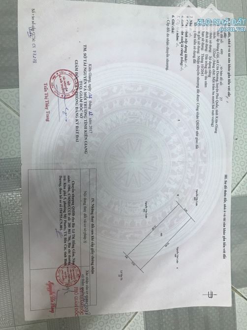 Bán nhà cây thông ngoài bên núi