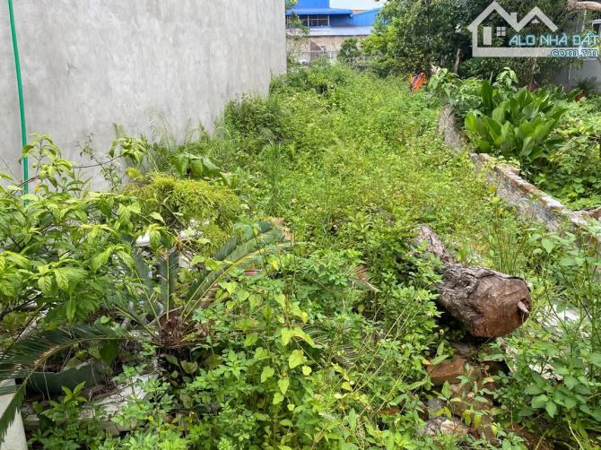 BÁN ĐẤT GIÁ RẺ – THÔN CỐNG MỸ, NAM SƠN, AN DƯƠNG  73m2 giá chỉ 780tr