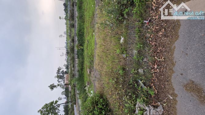 B.Á.N ĐẤT ĐẤU GIÁ ĐAN PHƯỢNG , MẶT ĐƯỜNG N1,  Ô TÔ TRÁNH , KINH DOANH ĐẸP  77M2, 9 TỶ 1