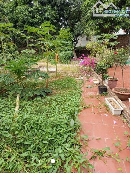 BÁN ĐẤT TÂN LẬP - ĐAN PHƯỢNG - 45,7m2