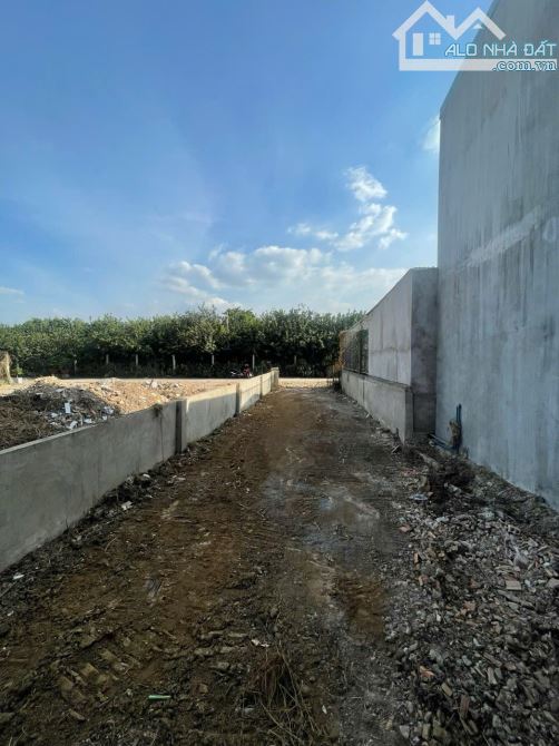 Chỉ còn 1 lô duy nhất 115m2 ngay ngã tư bán cá (X.Tân Bình) chỉ 1,350 tỉ