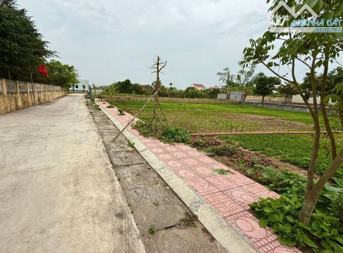 BÁN ĐẤT VEN BIỂN QUẤT LÂM 🔥 📍 Vị trí: Giao Thuỷ, Quất Lâm, Nam Định. 📍 Cách trung tâm t