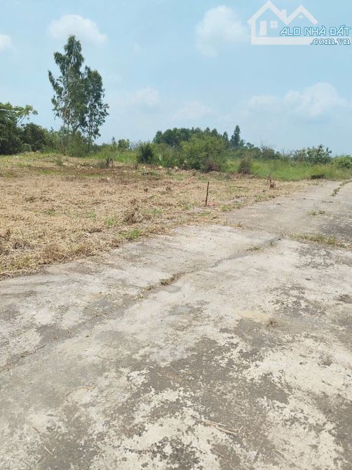 📌📌📌Làm việc trực tiếp!!!Bán đất 130m2 đất ở hoàn toàn tại Điện Thọ, Điện Bàn Đất sổ đỏ