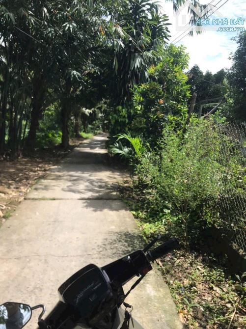Bán lô đất 90.3m2 (có 66.5m2 thổ cư), lộ nhà nước tại TP. Ngã Bảy, Hậu Giang, giá 300tr