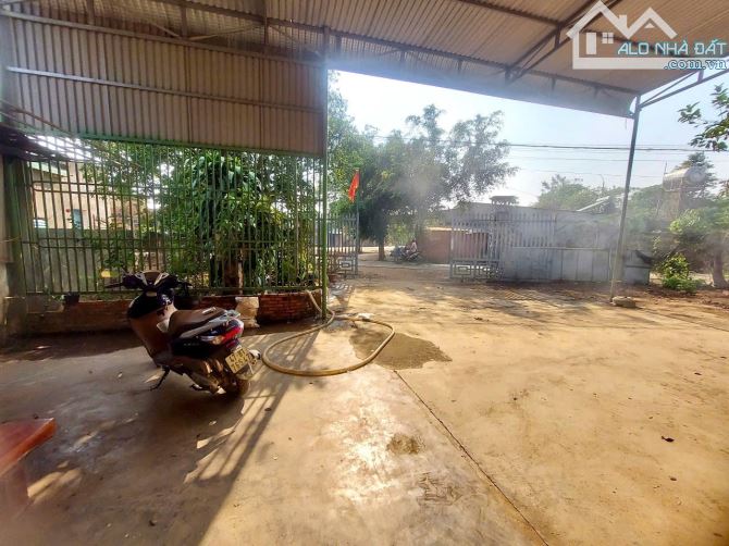 BÁN NHÀ + KHO NGAY MẶT TIỀN TỈNH LỘ 10 - NGUYỄN VĂN LINH , BUÔN Ê CĂM ( BUÔN CHÂM )