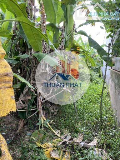 📌 ĐẤT NỀN GIÁ RẺ TẠI AN BÌNH – CAO LÃNH – 233M² CHỈ 1 TỶ – SỔ RIÊNG
