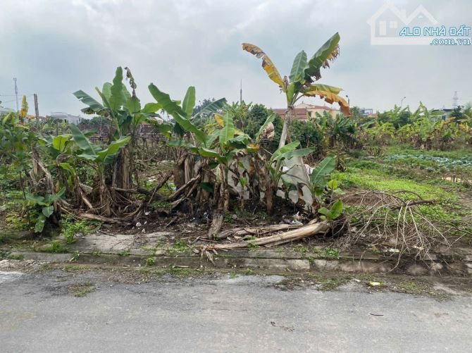 ❌ Bán Đất 203m tại chung cư Cách Thượng Nam Sơn An Dương!