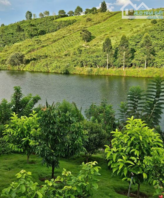 BÁN HOMESTAY ĐẦU TƯ TÂM HUYẾT TẠI BẢO LỘC. GIÁP HỒ. ĐƯỜNG 6m Ô TÔ TẬN NƠI - 10