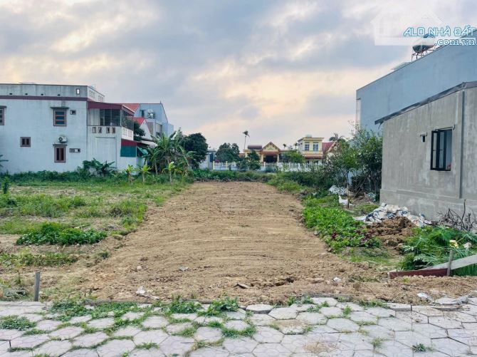 Bán đất Cẩm Hoàn - Thanh Sơn - Kiến Thụy - Hải Phòng - 1