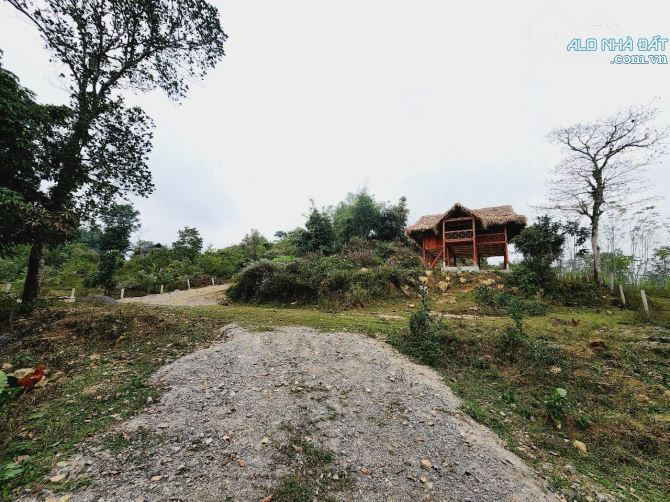Chỉ 1,8 tỷ, 3000m Phú Vinh, có ao, sẵn nhà sàn gỗ trai trị giá 300 triệu, gần đèo Đá Trắng - 1