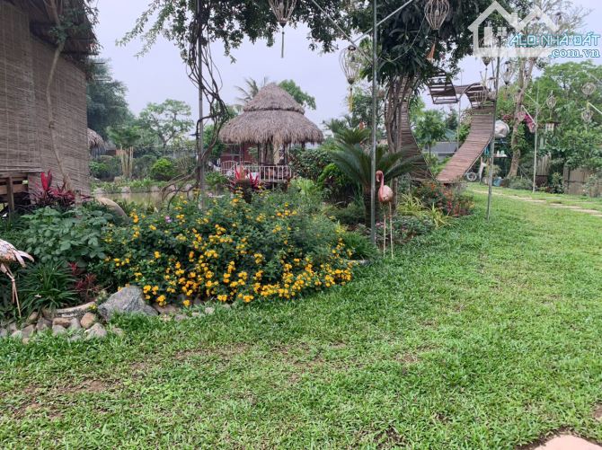 Cho thuê nhà vườn ở Long Biên 2000m2 làm café, nhà hàng, yoga sinh thái - 1