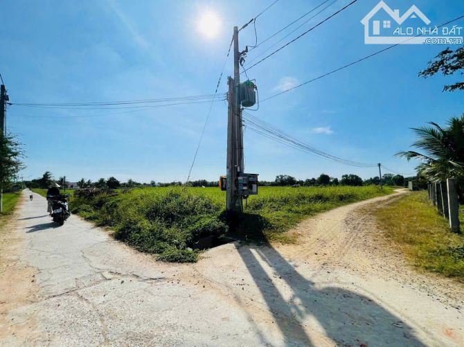 Bán 1043m2 CLN 2 mặt tiền Hàm Thắng (Phan Thiết), quy hoạch đất ở - 1