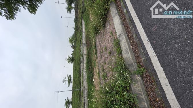 B.Á.N ĐẤT ĐẤU GIÁ ĐAN PHƯỢNG , PHÂN LÔ, Ô TÔ TRÁNH , THOÁNG TRƯỚC SAU 80M2, 7 TỶ 5 - 1