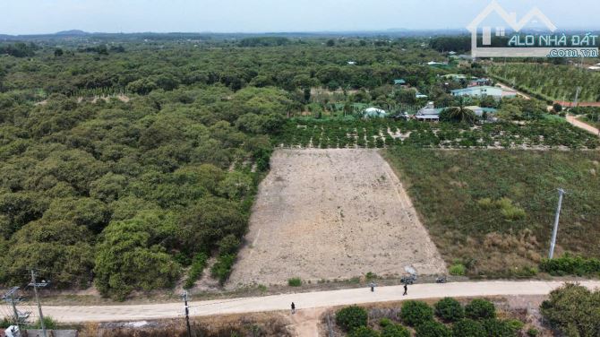 TT. Ea KNốp_714m2 Sỗ Sẵn, Đường Bê Tông 7.5m, Ngay Khu Dân Cư, Gần Trung Tâm 320 Triệu - 1
