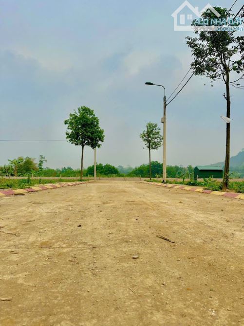 Chính Chủ Bán Lô Đất 153m2 Đồng Vàng, Phú Mãn, Quốc Oai. Giá 31tr/m2 - 1