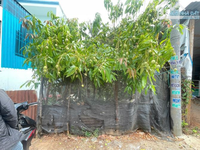 Đất hẻm 179 Cách Mạng Tháng 8 – Giá chỉ 1 tỷ 1xx - 1