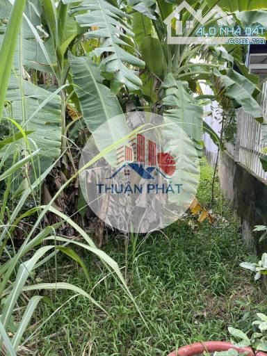 📌 ĐẤT NỀN GIÁ RẺ TẠI AN BÌNH – CAO LÃNH – 233M² CHỈ 1 TỶ – SỔ RIÊNG - 1
