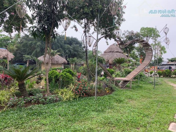 Cho thuê nhà vườn ở Long Biên 2000m2 làm café, nhà hàng, yoga sinh thái - 2