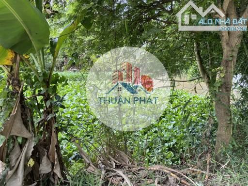 📌 ĐẤT NỀN GIÁ RẺ TẠI AN BÌNH – CAO LÃNH – 233M² CHỈ 1 TỶ – SỔ RIÊNG - 2