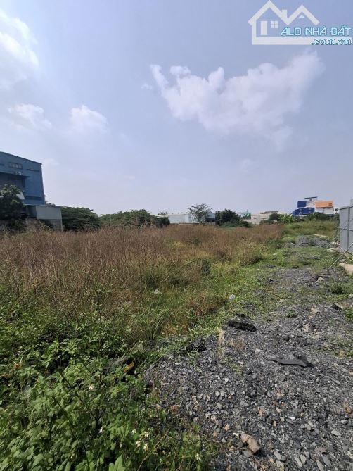 Bán Đất Hương Lộ 2, 900m2, 25x40m, đường ô tô 15m thông thoáng, full thổ cư - 2