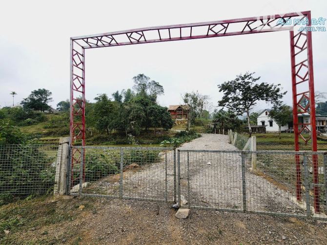 Chỉ 1,8 tỷ, 3000m Phú Vinh, có ao, sẵn nhà sàn gỗ trai trị giá 300 triệu, gần đèo Đá Trắng - 3