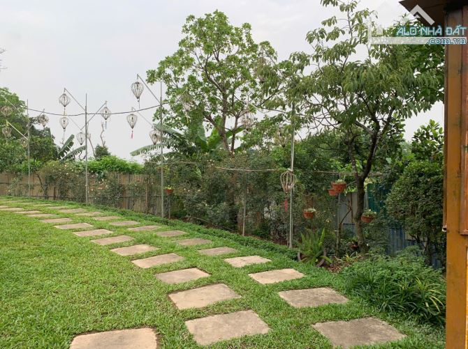 Cho thuê nhà vườn ở Long Biên 2000m2 làm café, nhà hàng, yoga sinh thái - 3