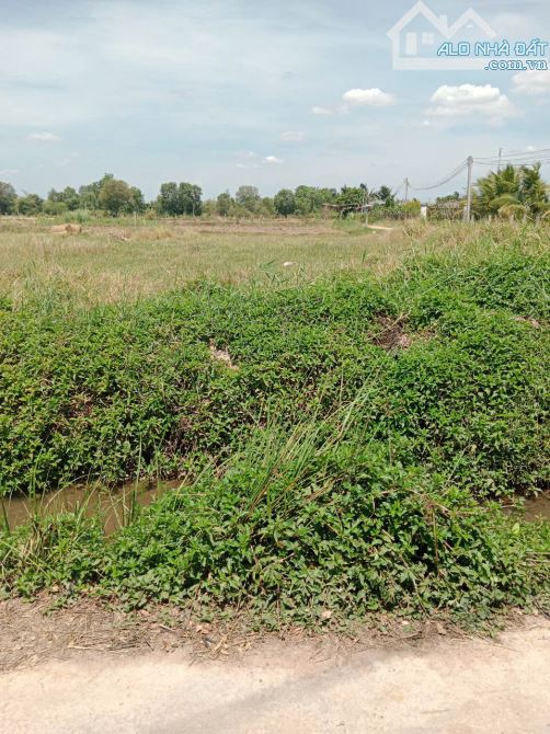Bán 1043m2 CLN 2 mặt tiền Hàm Thắng (Phan Thiết), quy hoạch đất ở - 3