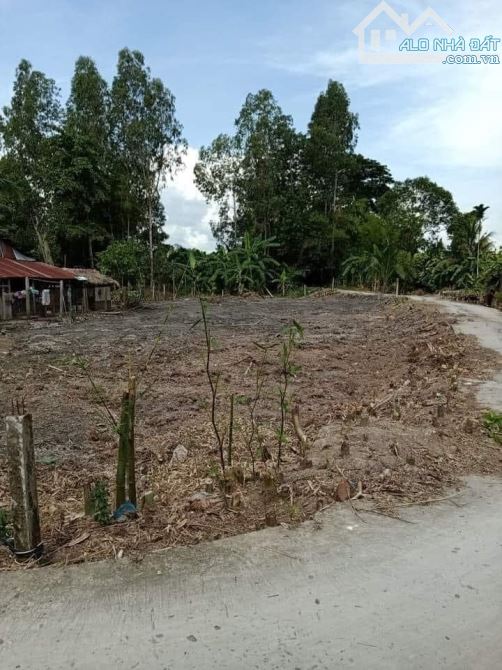 Bán lô đất 90.3m2 (có 66.5m2 thổ cư), lộ nhà nước tại TP. Ngã Bảy, Hậu Giang, giá 300tr - 3