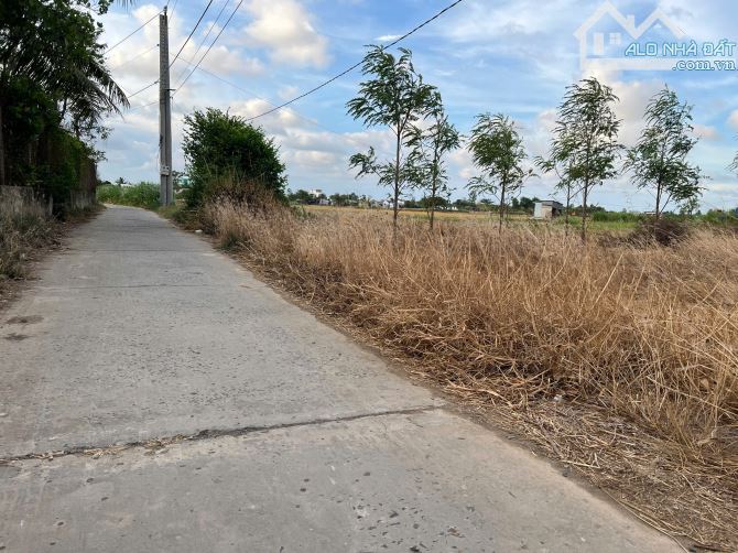 300 triệu bán đất đường ôtô tại Thanh Nhung 2, Phước Trung, Gò Công Đông, Tiền Giang - 4