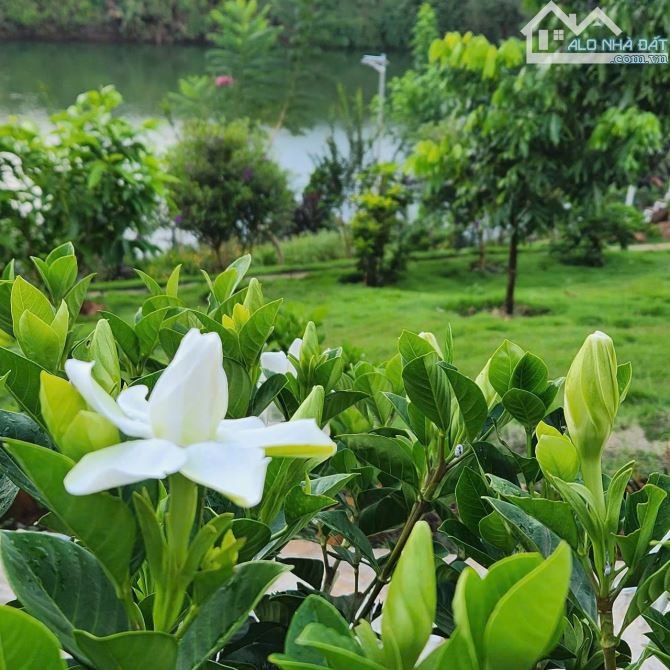 BÁN HOMESTAY ĐẦU TƯ TÂM HUYẾT TẠI BẢO LỘC. GIÁP HỒ. ĐƯỜNG 6m Ô TÔ TẬN NƠI - 4