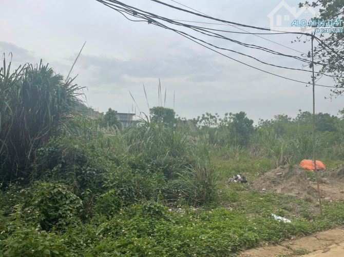 Đất chủ cần bán vuông vắn, mặt tiền dài 26m cách ĐHQG chỉ 2km giá đầu tư xung quanh - 4