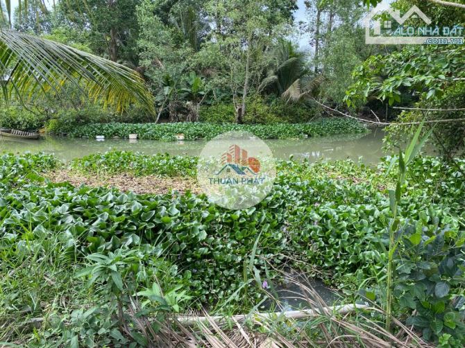 📌 ĐẤT NỀN GIÁ RẺ TẠI AN BÌNH – CAO LÃNH – 233M² CHỈ 1 TỶ – SỔ RIÊNG - 4