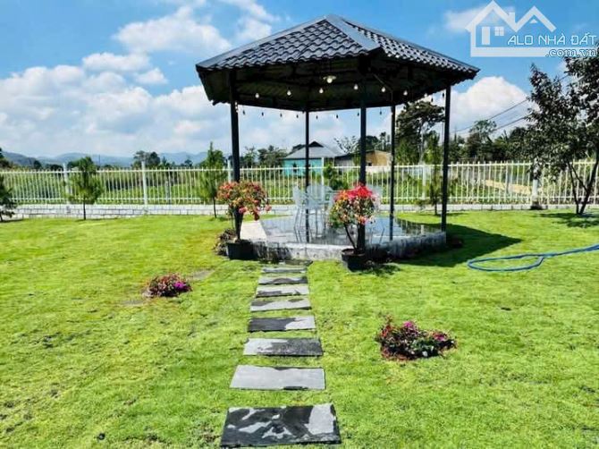 Bán nhà vườn tuyệt đẹp ngay TP. Bảo Lộc. Sẵn thổ cư, đường xe hơi thoải mái - 5