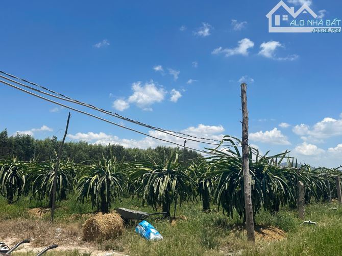 🔵 1,6 Mẫu Lô Góc View Hồ, Mt Nguyễn Minh Châu Tân Tiến Giá Ngộp - 5