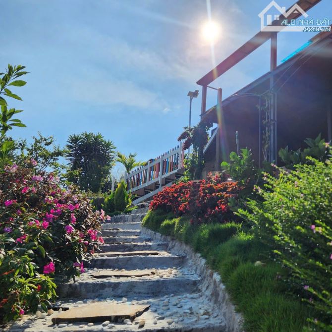 BÁN HOMESTAY ĐẦU TƯ TÂM HUYẾT TẠI BẢO LỘC. GIÁP HỒ. ĐƯỜNG 6m Ô TÔ TẬN NƠI - 6