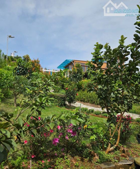 BÁN HOMESTAY ĐẦU TƯ TÂM HUYẾT TẠI BẢO LỘC. GIÁP HỒ. ĐƯỜNG 6m Ô TÔ TẬN NƠI - 7