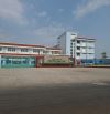 Bán Đất Hương Lộ 2, 900m2, 25x40m, đường ô tô 15m thông thoáng, full thổ cư