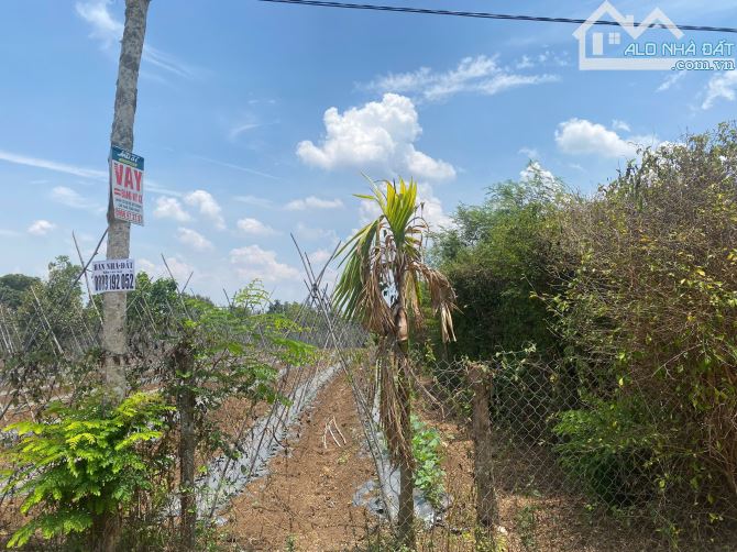 Bán lô đất chân dài Tân Hòa BUÔN ĐÔN