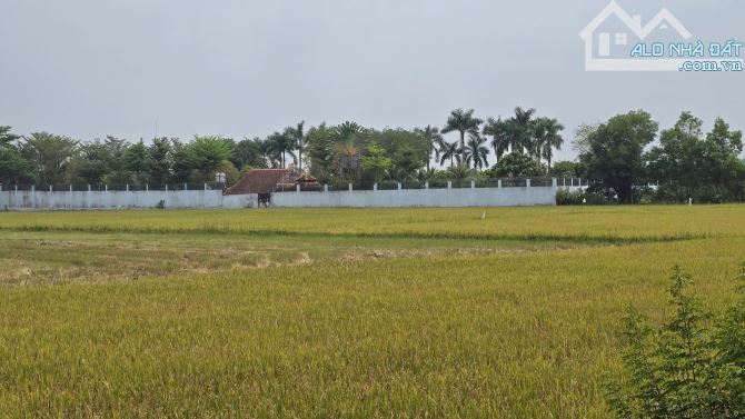 Bán lô đất vườn mặt tiền kênh An Nhơn Tây, Củ Chi, 1tr/m2